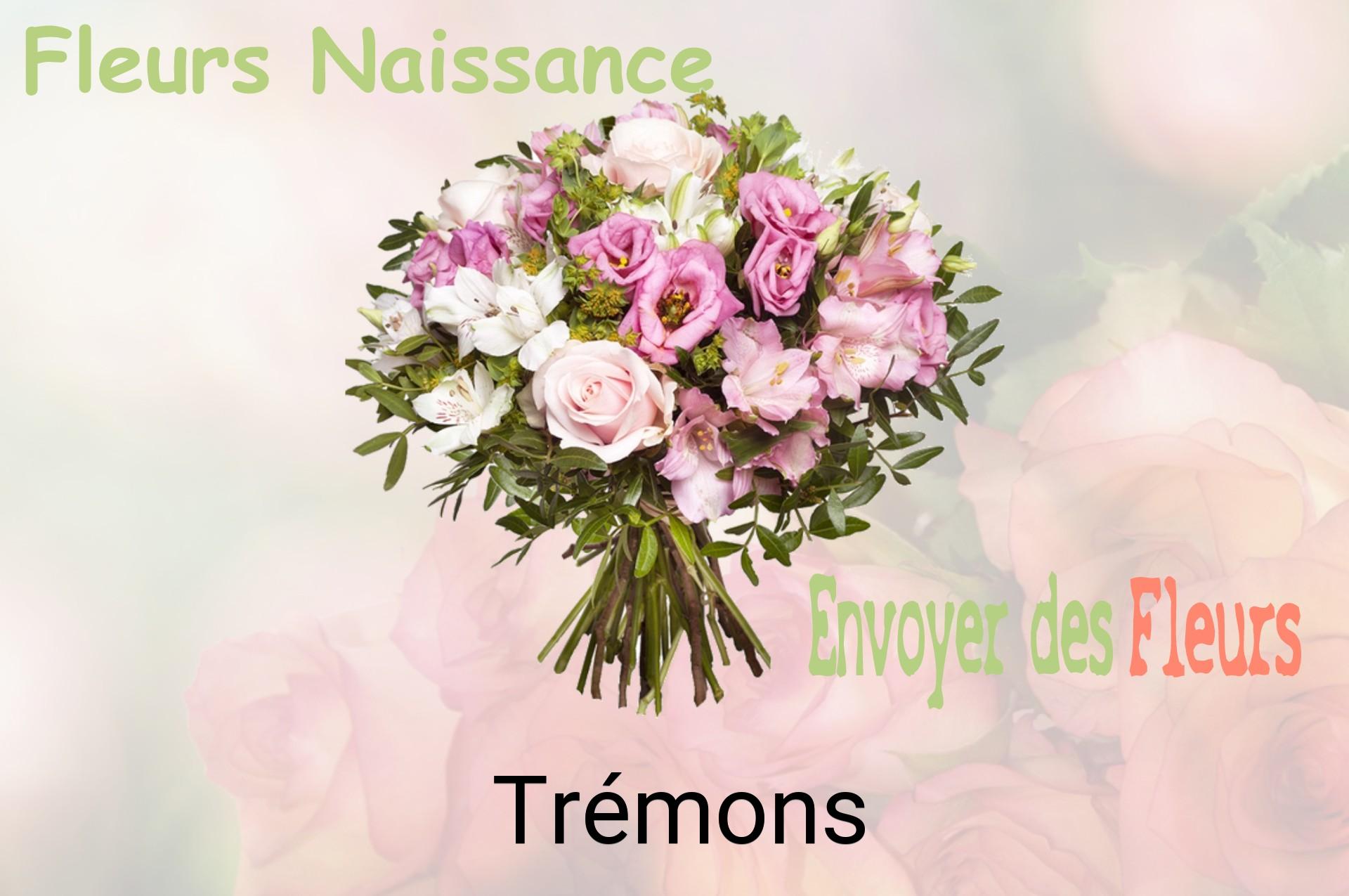 Bouquet de fleurs de naissance livré à Trémons