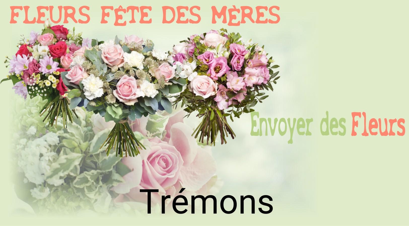 Bouquet de Fête des Mères livré à Trémons